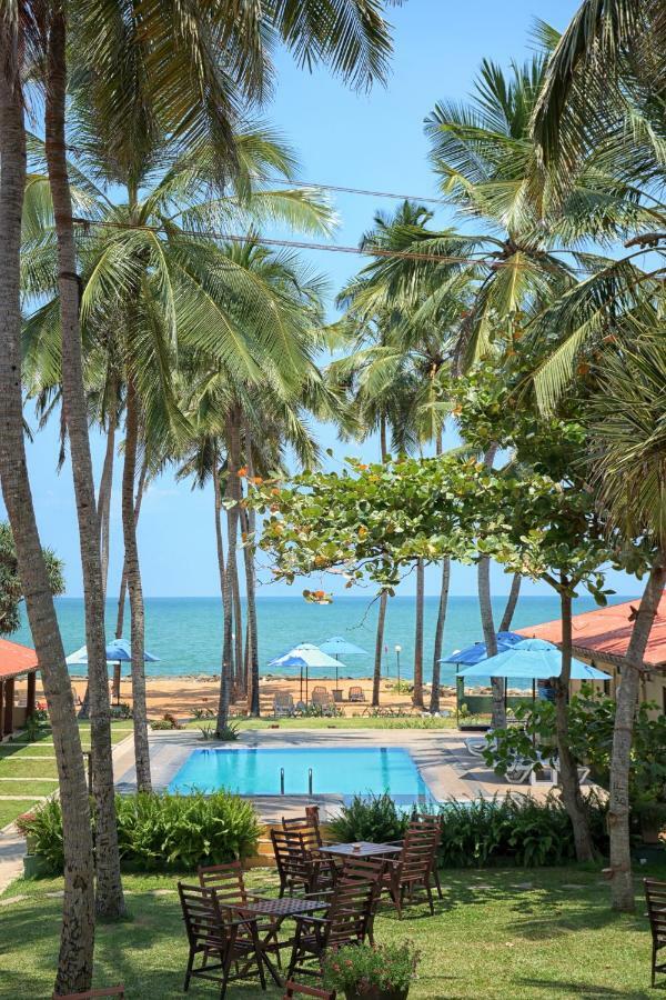 Amagi Beach - Secluded Slice Of Paradise Marawila Exterior foto